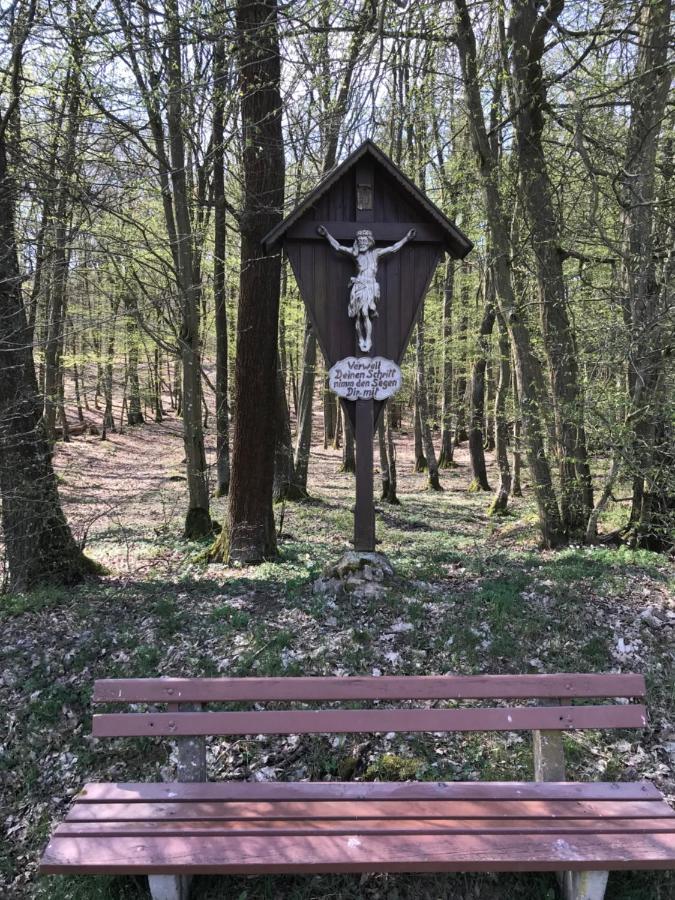 Pension-Ferienwohnung Liesbachtal Direkt Am Waldrand Bayerische Rhoen Schönau an der Brend Esterno foto