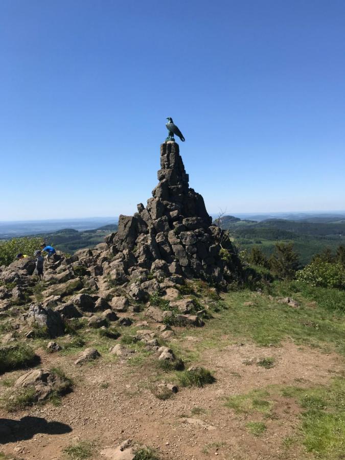 Pension-Ferienwohnung Liesbachtal Direkt Am Waldrand Bayerische Rhoen Schönau an der Brend Esterno foto