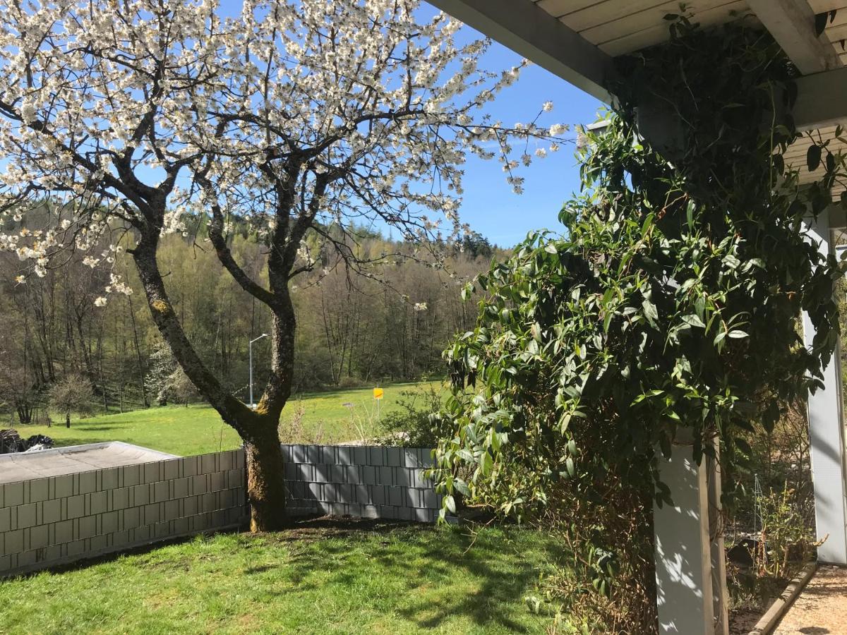 Pension-Ferienwohnung Liesbachtal Direkt Am Waldrand Bayerische Rhoen Schönau an der Brend Esterno foto