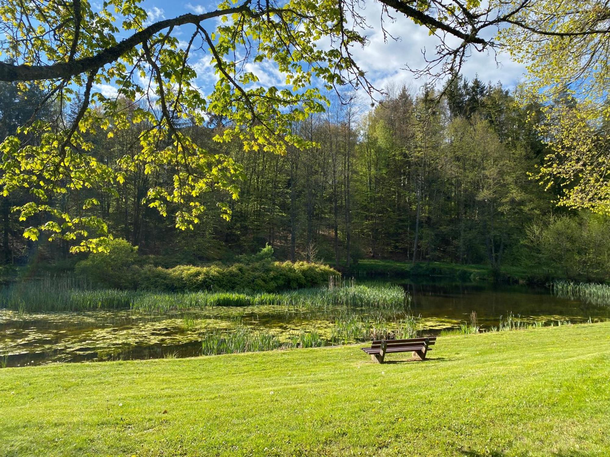 Pension-Ferienwohnung Liesbachtal Direkt Am Waldrand Bayerische Rhoen Schönau an der Brend Esterno foto