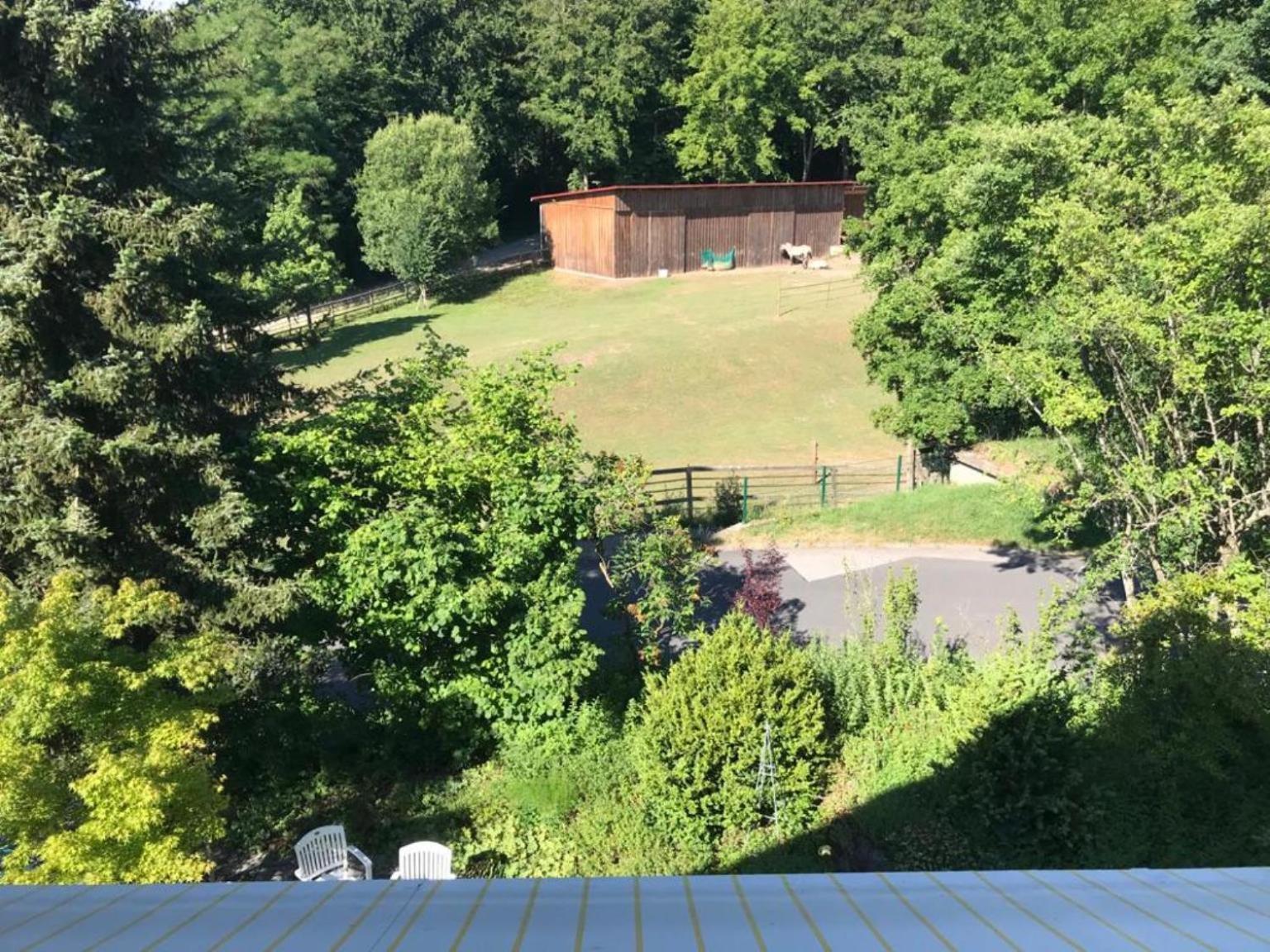 Pension-Ferienwohnung Liesbachtal Direkt Am Waldrand Bayerische Rhoen Schönau an der Brend Camera foto