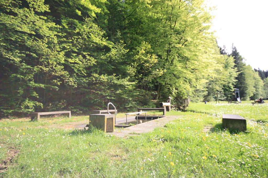 Pension-Ferienwohnung Liesbachtal Direkt Am Waldrand Bayerische Rhoen Schönau an der Brend Esterno foto