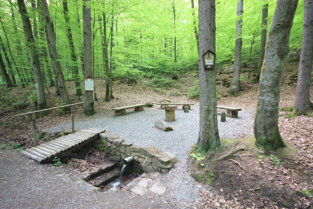 Pension-Ferienwohnung Liesbachtal Direkt Am Waldrand Bayerische Rhoen Schönau an der Brend Esterno foto