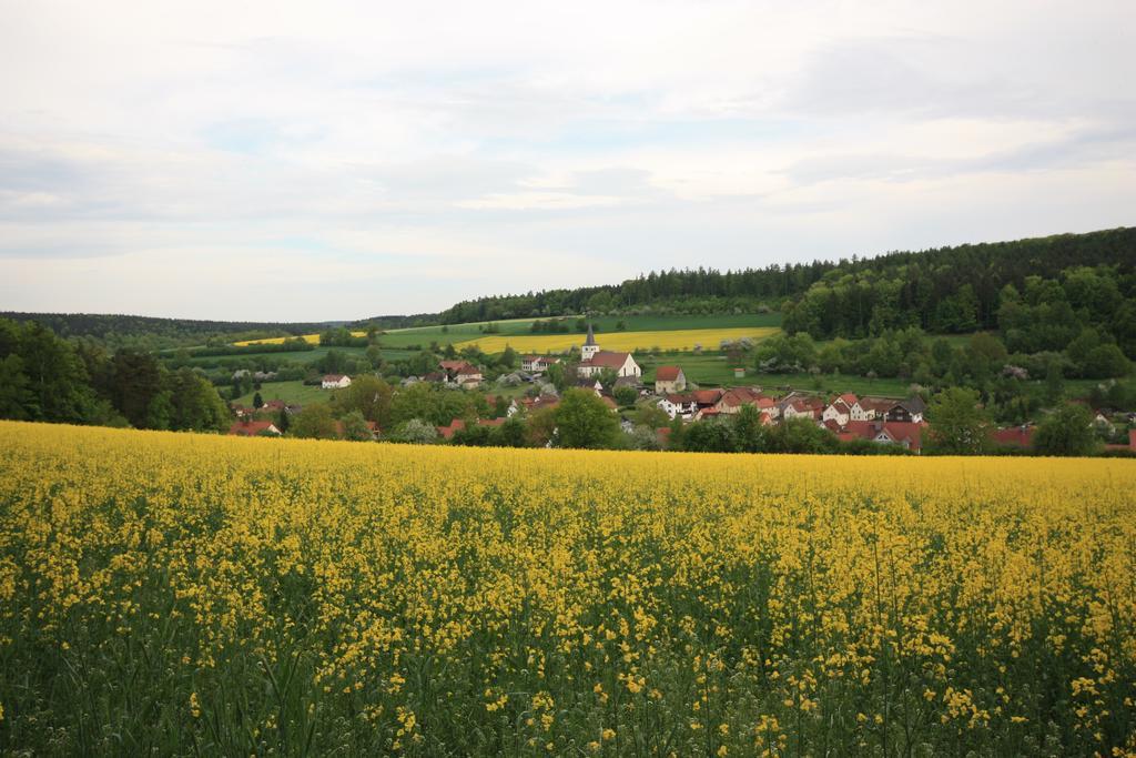 Pension-Ferienwohnung Liesbachtal Direkt Am Waldrand Bayerische Rhoen Schönau an der Brend Esterno foto